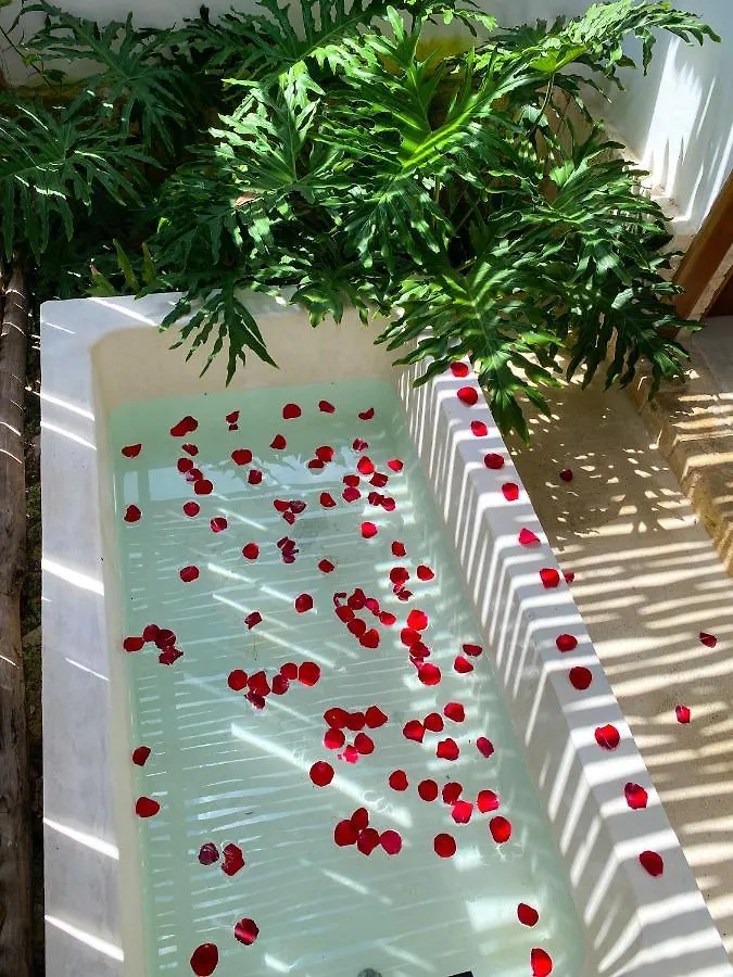 הוילה Casa Laila Cozy House In Bacalar Center מקסיקו